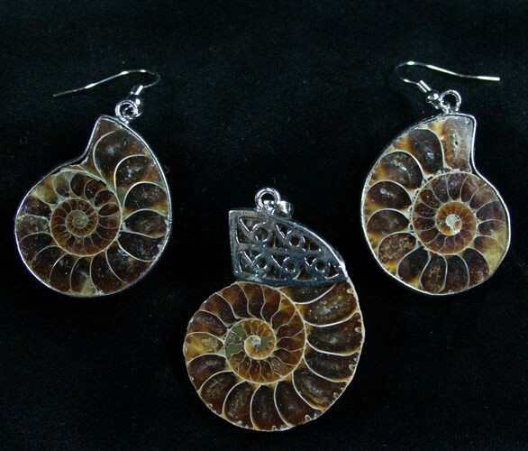 Ammonite Fossil Pendant & Earring Set #7080